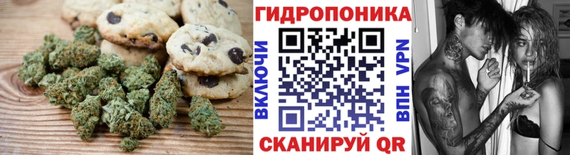 цены наркотик  Петропавловск-Камчатский  shop формула  Печенье с ТГК марихуана 
