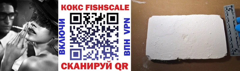 kraken как войти  Петропавловск-Камчатский  Cocaine FishScale 