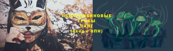молекула духа Армянск
