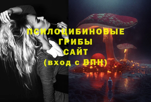 прущий лед Алексин