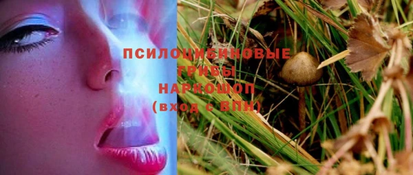 прущий лед Алексин