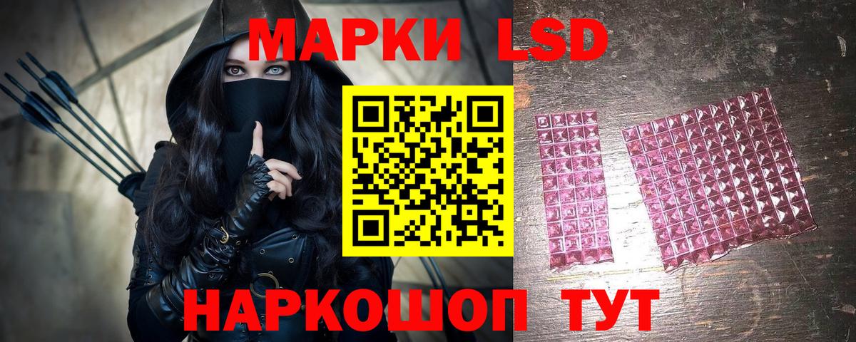 Наркотические марки 1500мкг  Вход с VPN  Петропавловск-Камчатский  Наркотические марки 1500мкг 