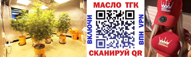 kraken онион  где продают наркотики  Петропавловск-Камчатский  ТГК гашишное масло 