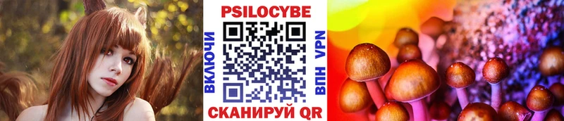 где продают   Петропавловск-Камчатский  Псилоцибиновые грибы GOLDEN TEACHER 